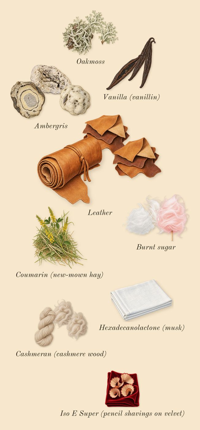 CH Men, dry-down: Cashmeran (cashmere wood), Leather, Ambergris, Vanilla (vanillin), Oakmoss, Burnt sugar, Iso E Super (pencil shavings on velvet), Coumarin (new-mown hay), Hexadecanolactone (musk)