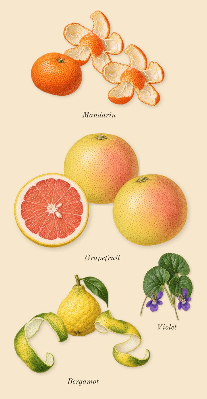 CH Men, top notes: Grapefruit, Violet, Mandarin, Bergamot
