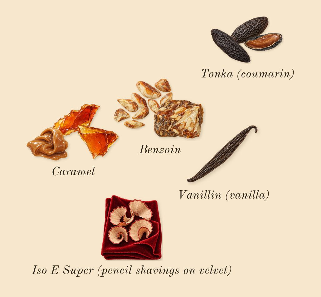 Good Girl Jasmine Absolute, dry-down: Caramel, Tonka (coumarin), Benzoin, Iso E Super (pencil shavings on velvet), Vanillin (vanilla)