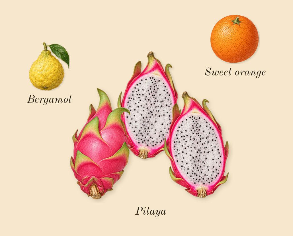 La Bomba, top notes: Pitaya, Bergamot, Sweet orange