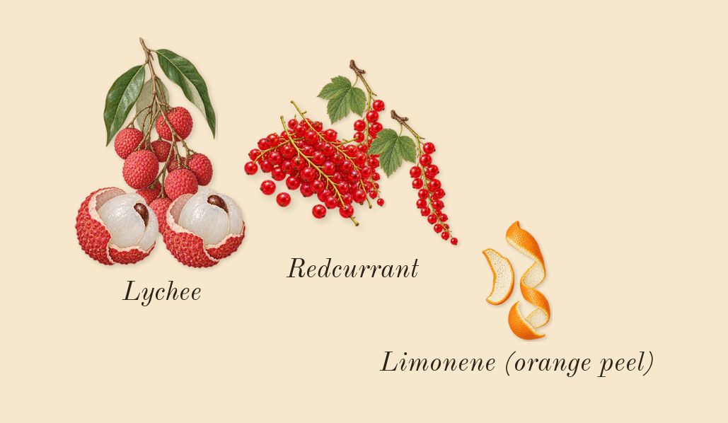 Very Good Girl, top notes: Redcurrant, Lychee, Limonene (orange peel)