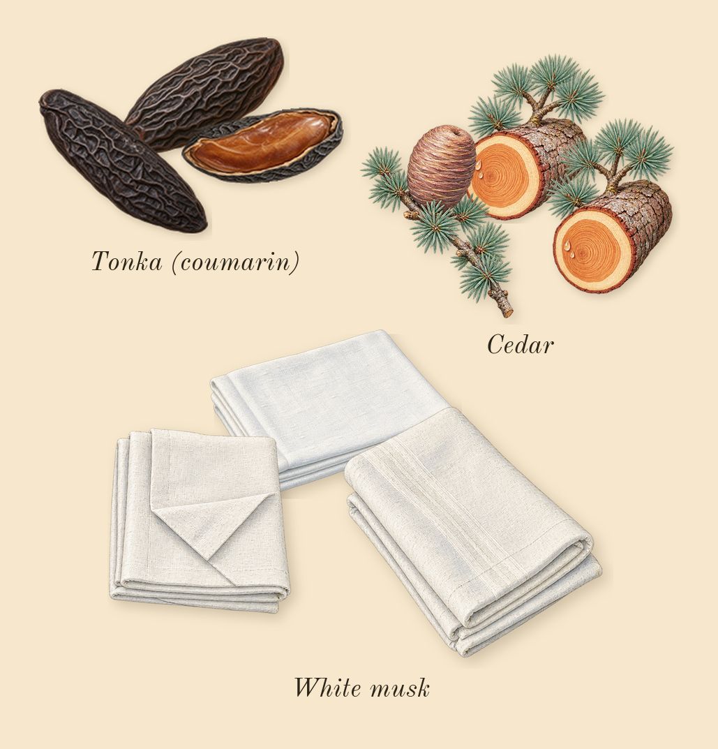 Allure Homme Sport, dry-down: Cedar, Tonka (coumarin), White musk