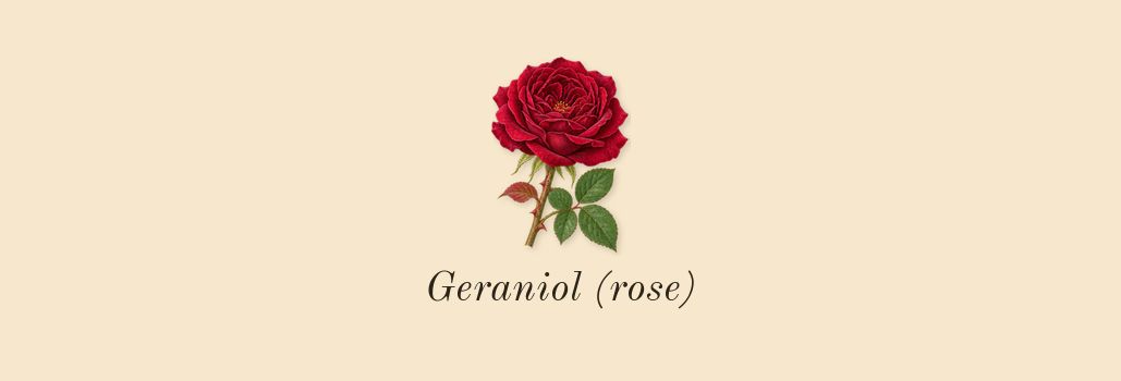 Allure Homme Sport, heart: Geraniol (rose)