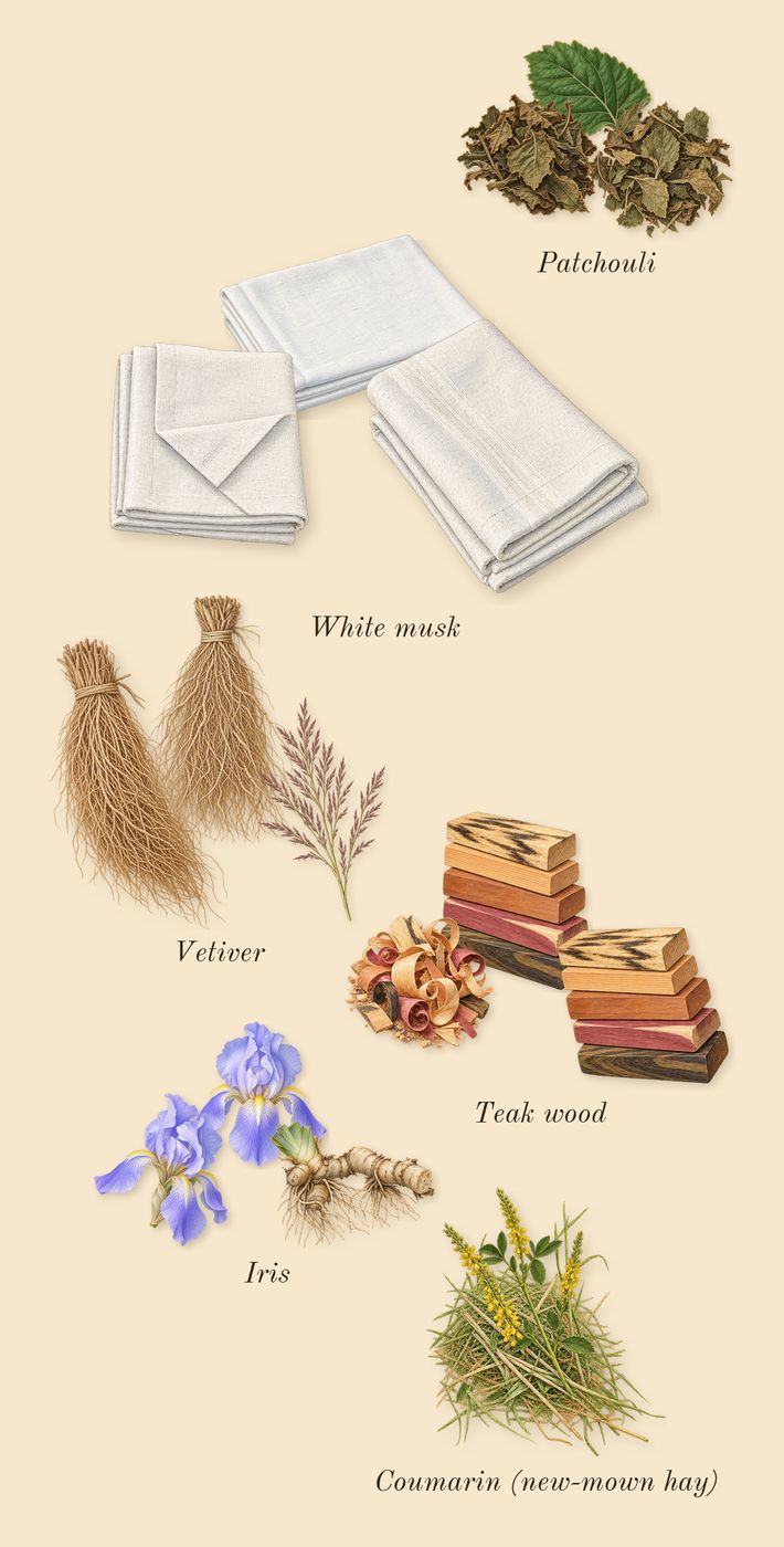 Chance Eau Fraîche, dry-down: Teak wood, White musk, Vetiver, Patchouli, Iris, Coumarin (new-mown hay)