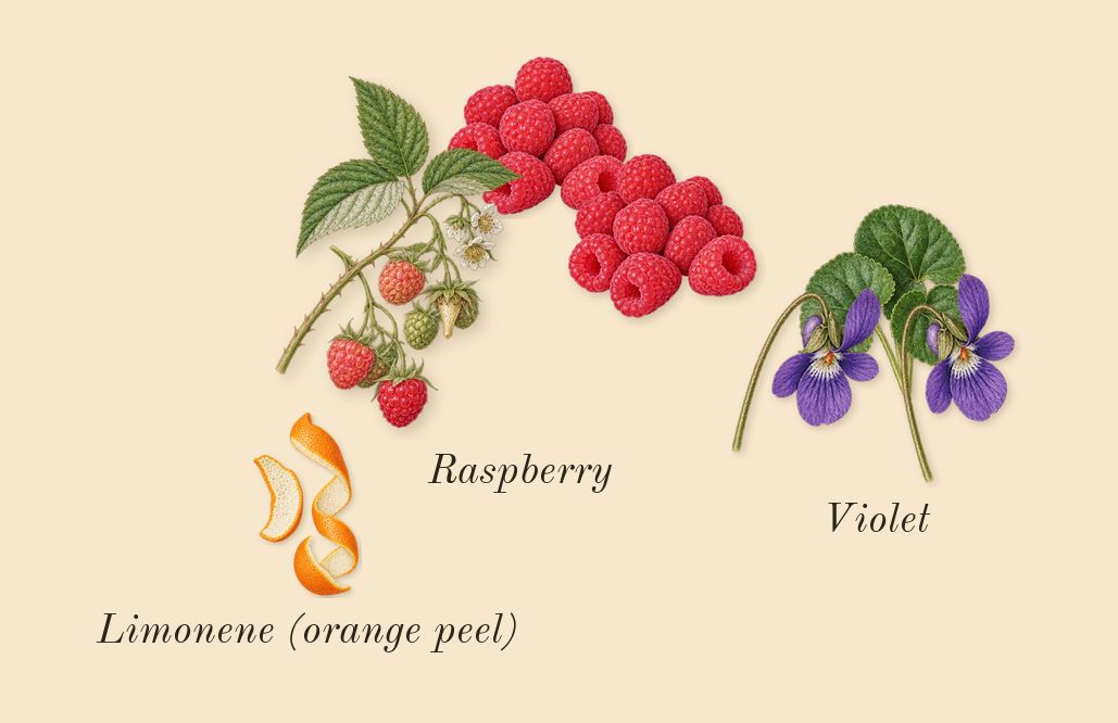 Chance Eau Splendide, top notes: Raspberry, Violet, Limonene (orange peel)