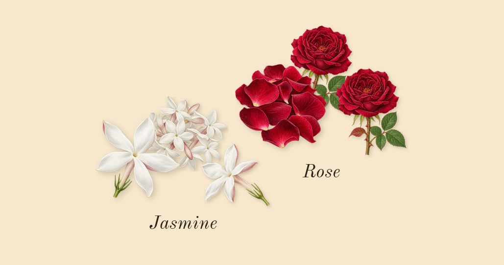 Chance Eau Tendre, heart: Jasmine, Rose