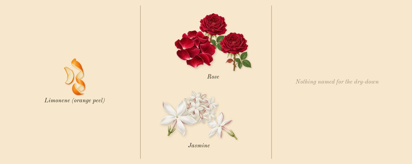 Chance Eau Tendre’s scent picture, a draft: jasmine, rose, limonene (orange peel) drawn so far; dashed outlines where nothing is drawn yet