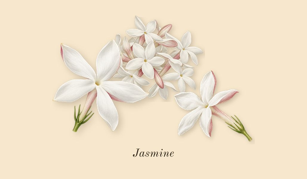 Chance Eau Tendre, heart: Jasmine