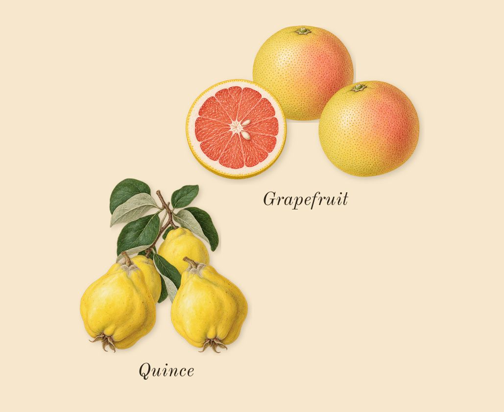 Chance Eau Tendre, top notes: Grapefruit, Quince