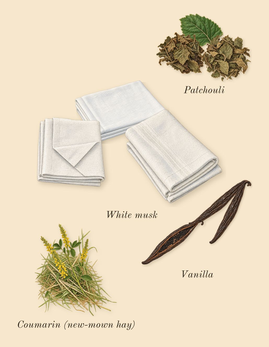 Chance, dry-down: Patchouli, White musk, Vanilla, Coumarin (new-mown hay)