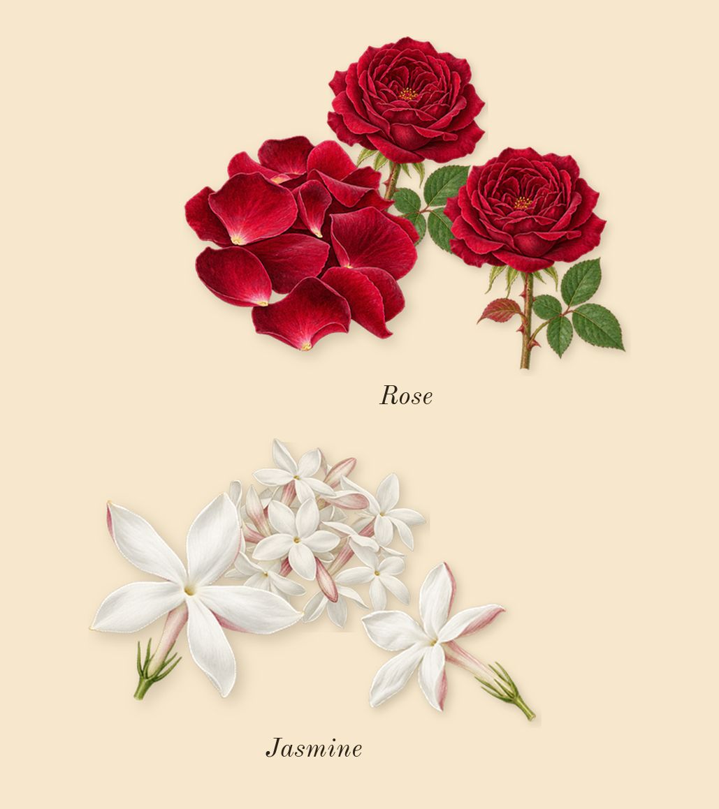 Coco Mademoiselle Crush Absolu, heart: Rose, Jasmine