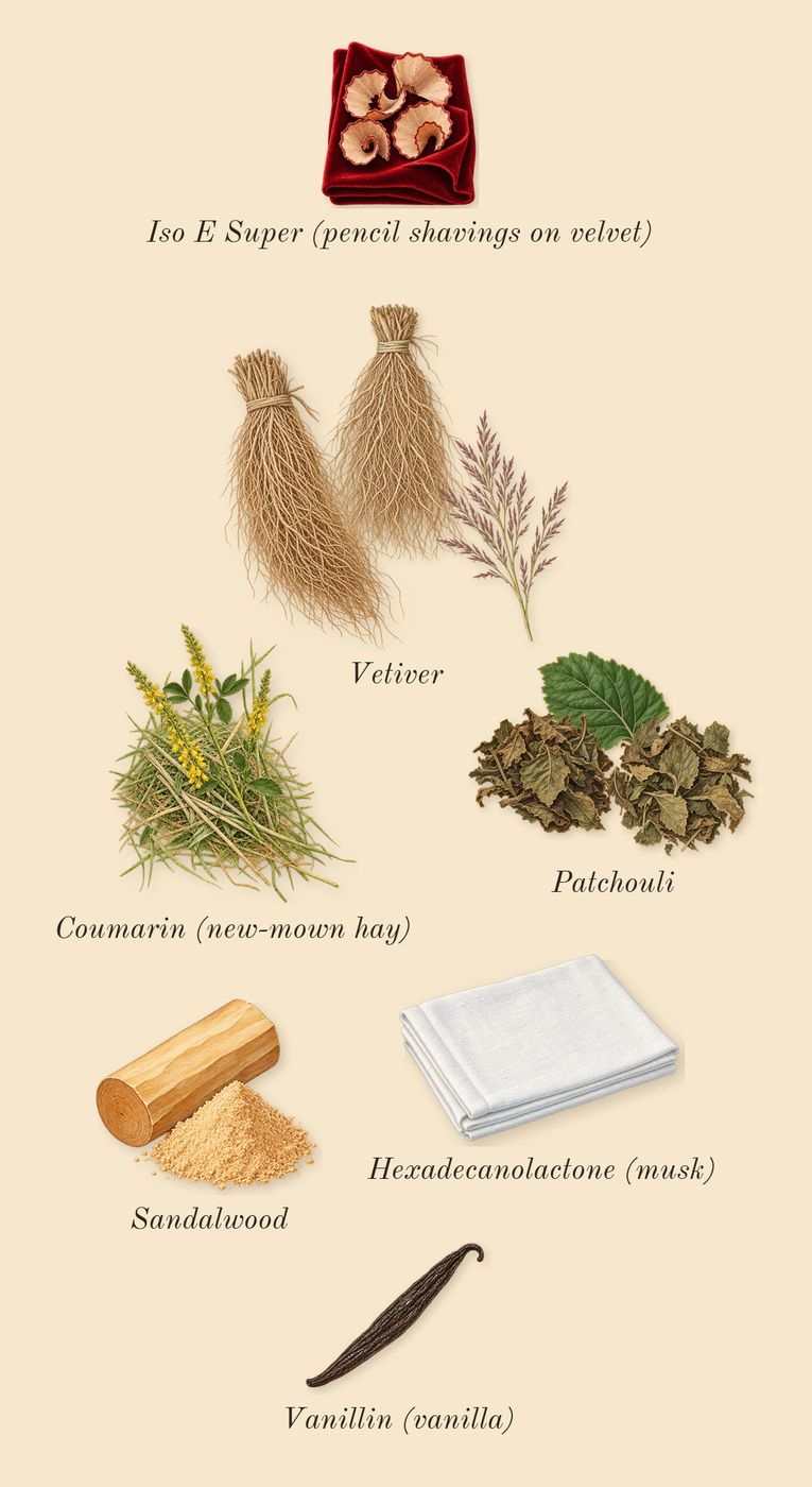 Coco Mademoiselle, dry-down: Patchouli, Vetiver, Sandalwood, Iso E Super (pencil shavings on velvet), Coumarin (new-mown hay), Vanillin (vanilla), Hexadecanolactone (musk)