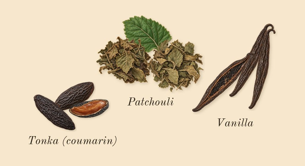 Coco Mademoiselle, dry-down: Patchouli, Tonka (coumarin), Vanilla