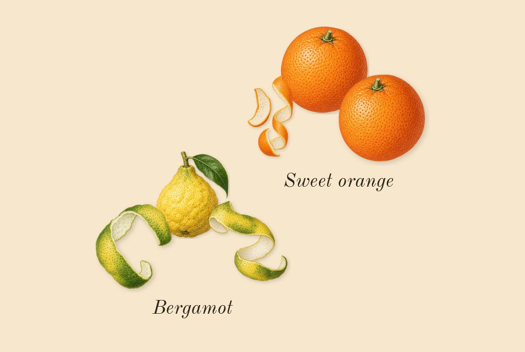Coco Mademoiselle, top notes: Bergamot, Sweet orange