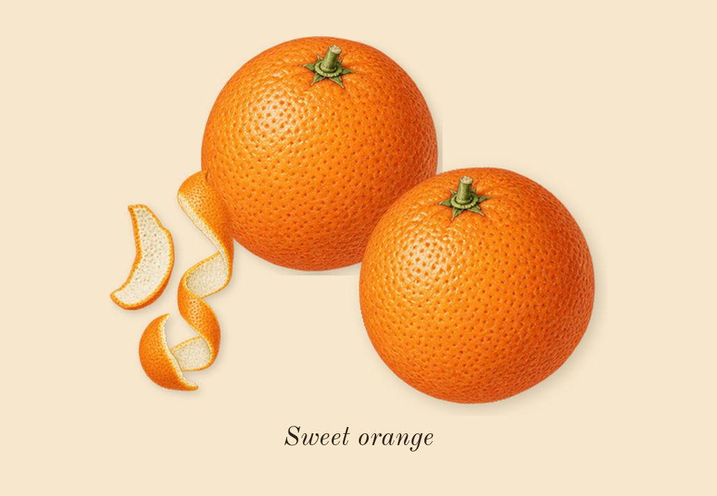 Coco Mademoiselle L'Eau Privée, top notes: Sweet orange