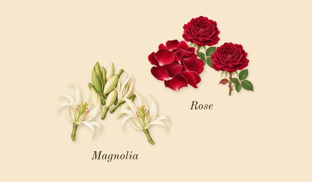 Chloé, heart: Rose, Magnolia