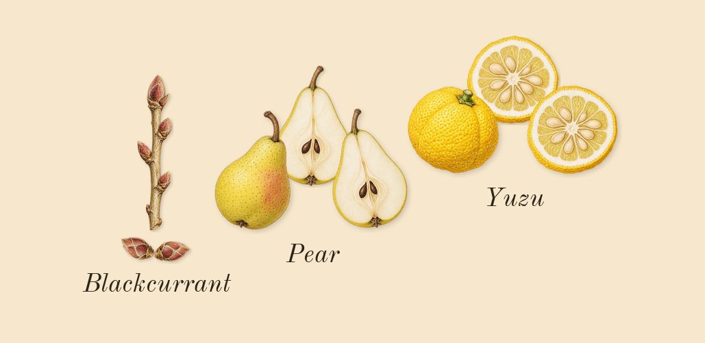 Wish, top notes: Pear, Blackcurrant, Yuzu