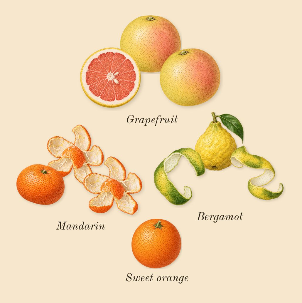Happy, top notes: Grapefruit, Mandarin, Bergamot, Sweet orange