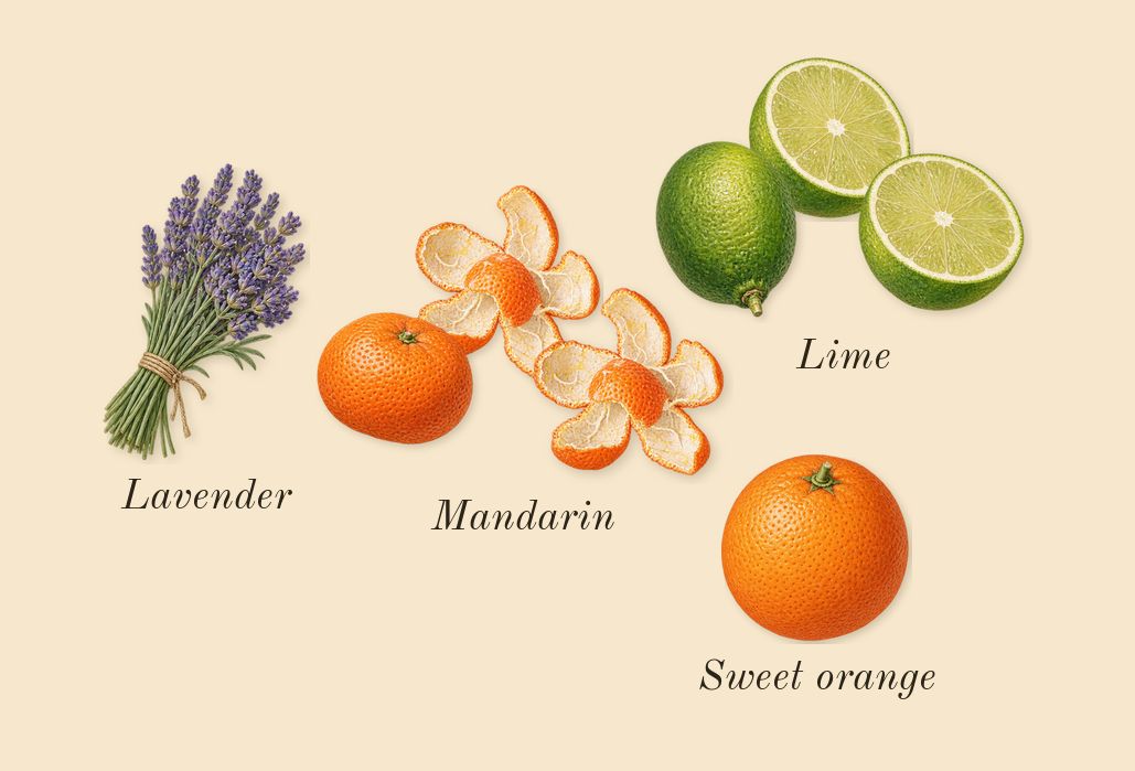Happy For Men, top notes: Lime, Mandarin, Sweet orange, Lavender