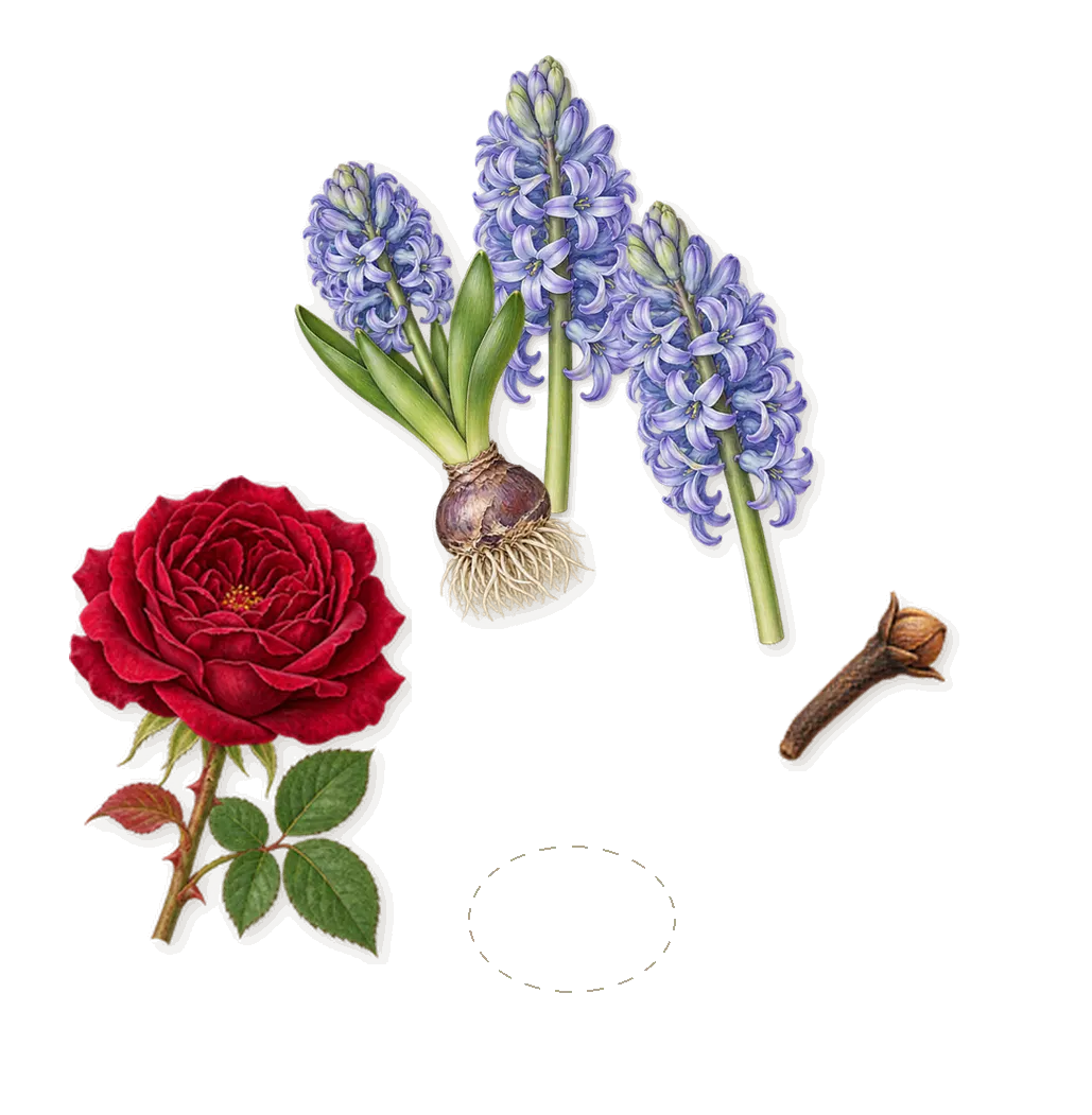Happy Heart, as it settles: Hyacinth, Yellow primrose, Rose, Isoeugenol (clove)