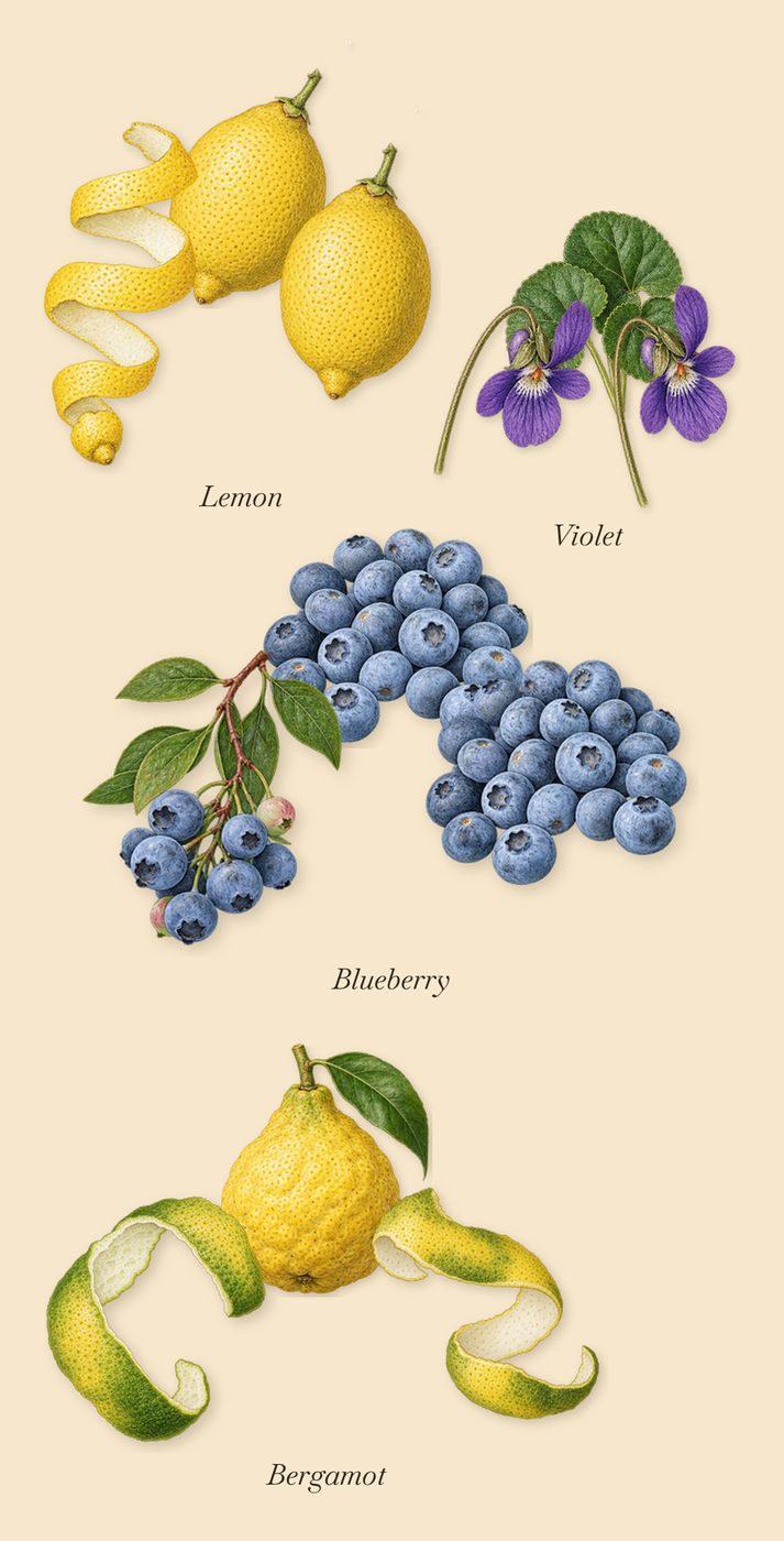 1872 Feminine, when you spray it: Bergamot, Blueberry, Violet, Lemon