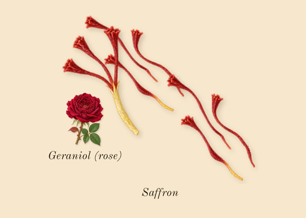 C Woody Leather, heart: Saffron, Geraniol (rose)