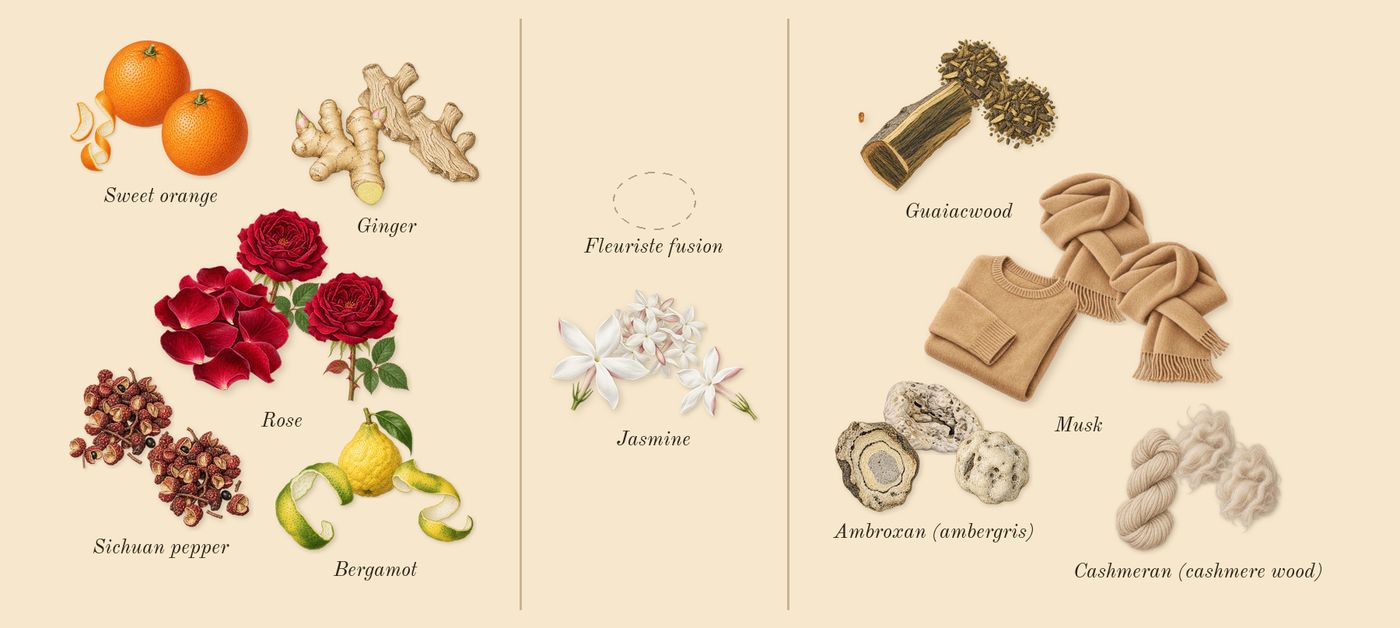 E Cashmere Musk’s scent picture, a draft: rose, musk, sweet orange, bergamot, ginger, sichuan pepper drawn so far; dashed outlines where nothing is drawn yet