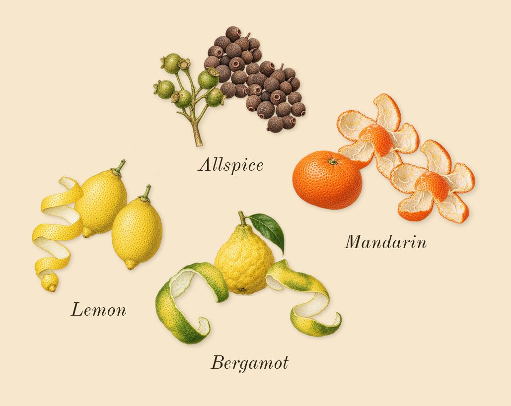 No1 Feminine, top notes: Allspice, Lemon, Mandarin, Bergamot