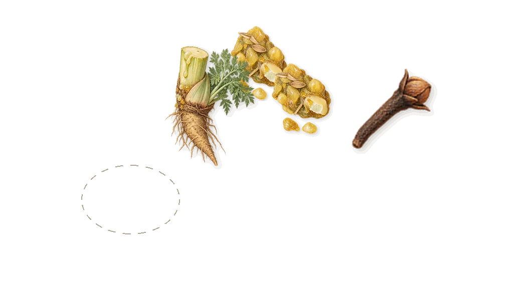 Morel Map, as it settles: Galbanum, Morel mushrooms, Eugenol (clove)