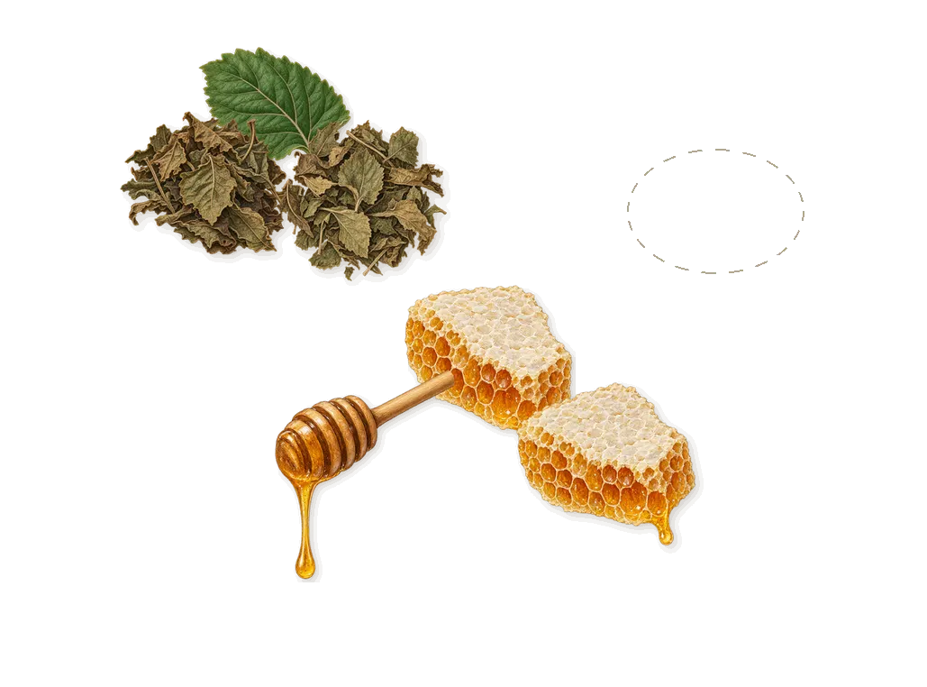 The Point, as it settles: Honey-soaked patchouli, Patchouli, Ocean water