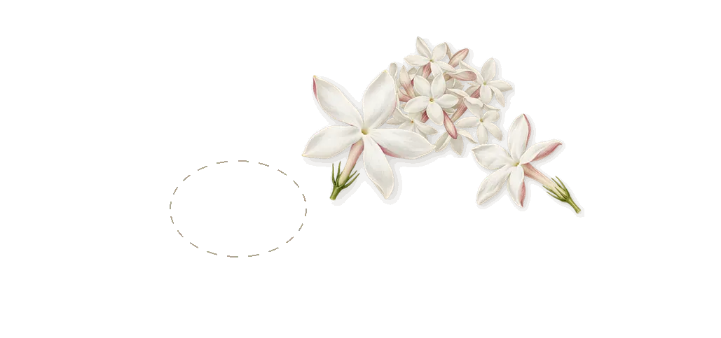 The Point, when you spray it: Jasmine, Crushed porcelain