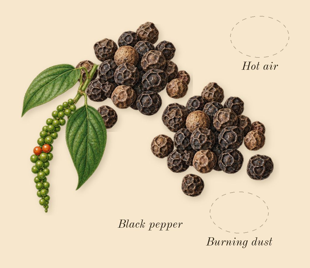 Warm Bulb, top notes: Burning dust, Hot air, Black pepper