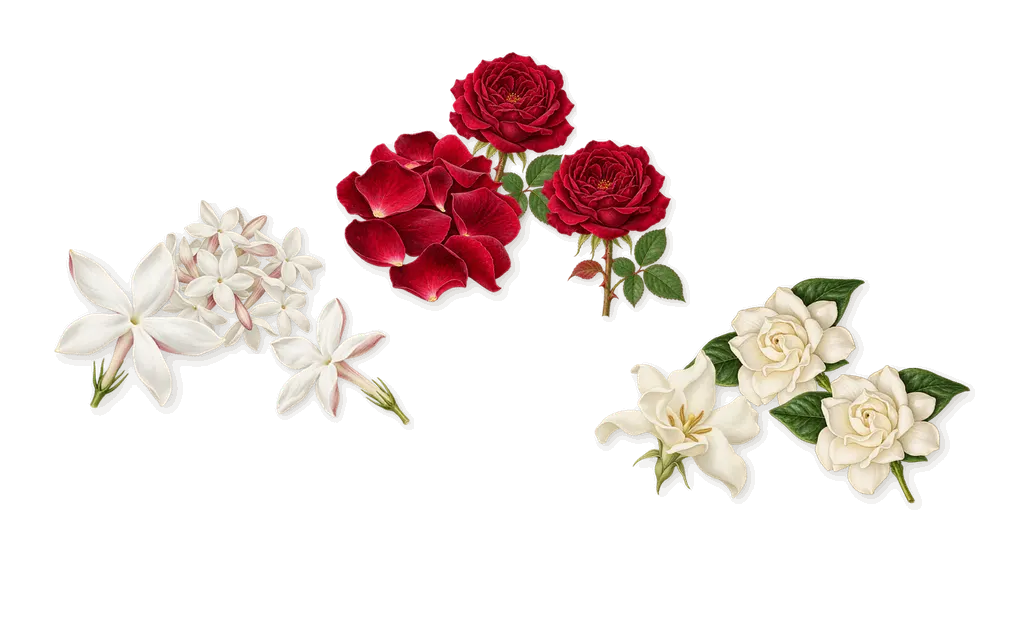 Floral, as it settles: Rose, Jasmine, Gardenia