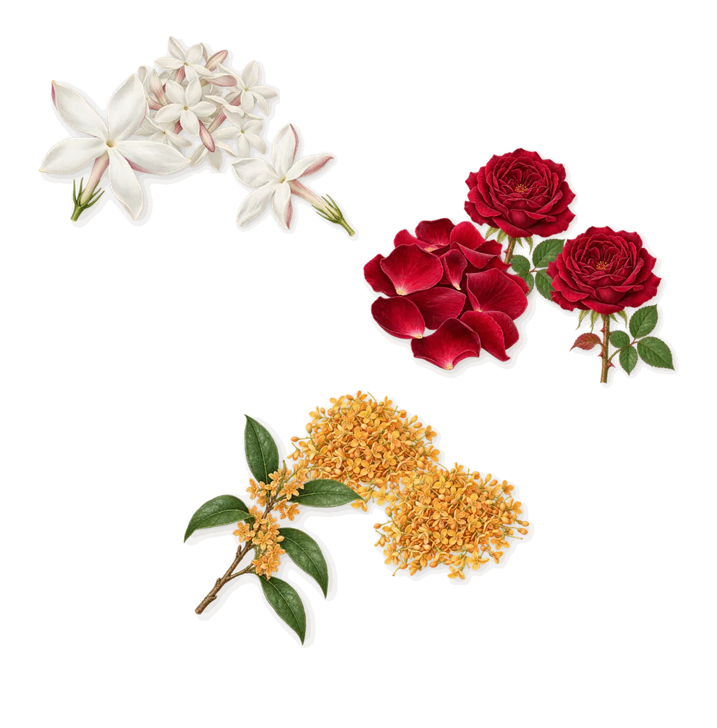 Love, as it settles: Rose, Jasmine, Osmanthus