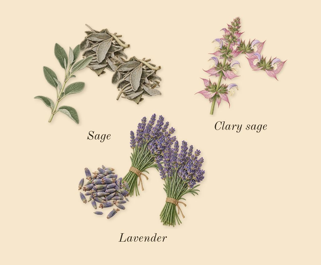 Open Road, heart: Lavender, Sage, Clary sage