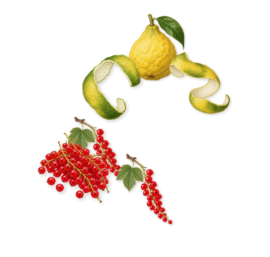 Wild Rose, when you spray it: Redcurrant, Bergamot