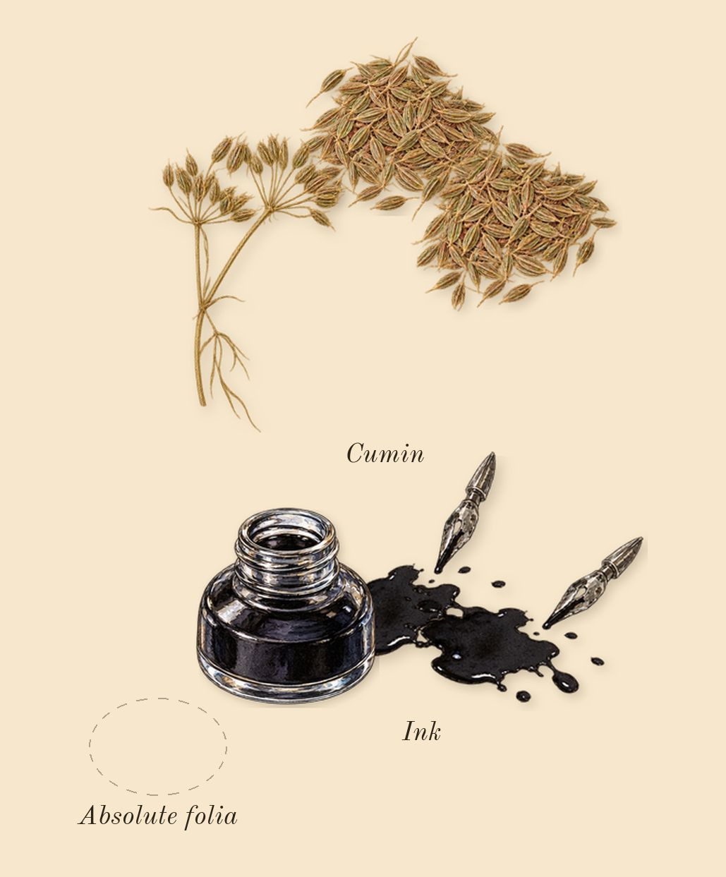 2, heart: Ink, Cumin, Absolute folia