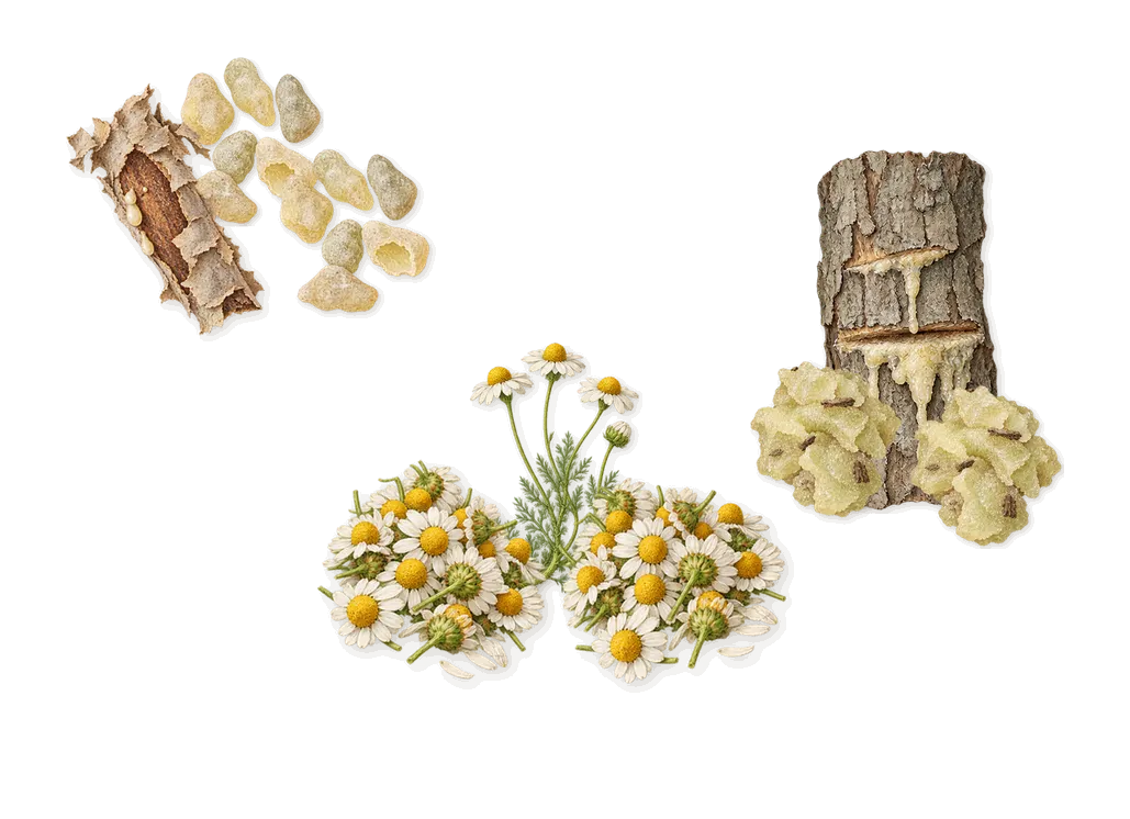 Avignon, when you spray it: Chamomile, Elemi, Frankincense