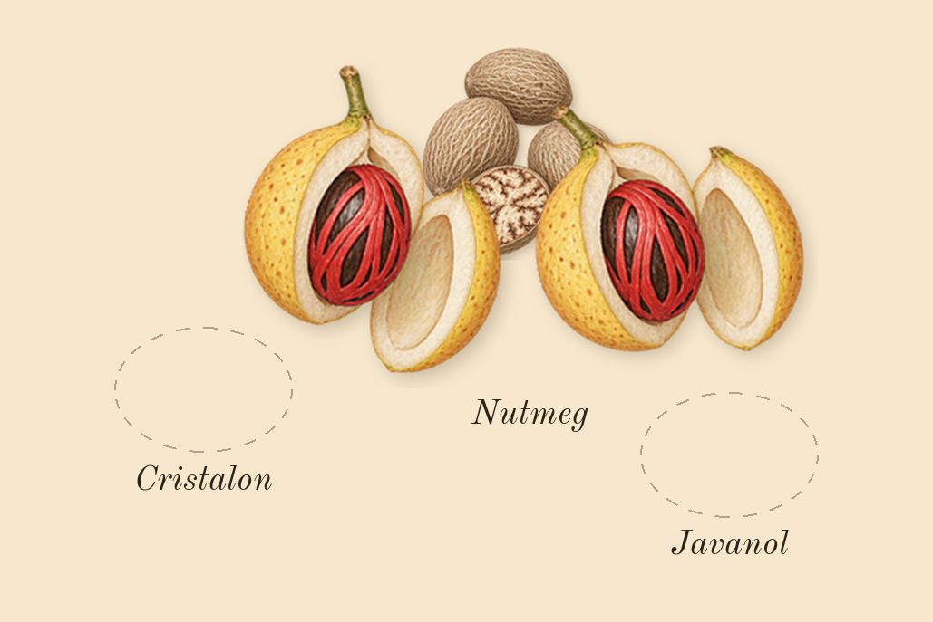 Wonderwood, heart: Nutmeg, Cristalon, Javanol