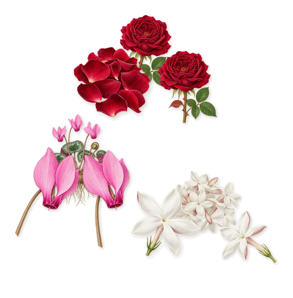 Juice Personal, as it settles: Rose, Cyclamen, Jasmine