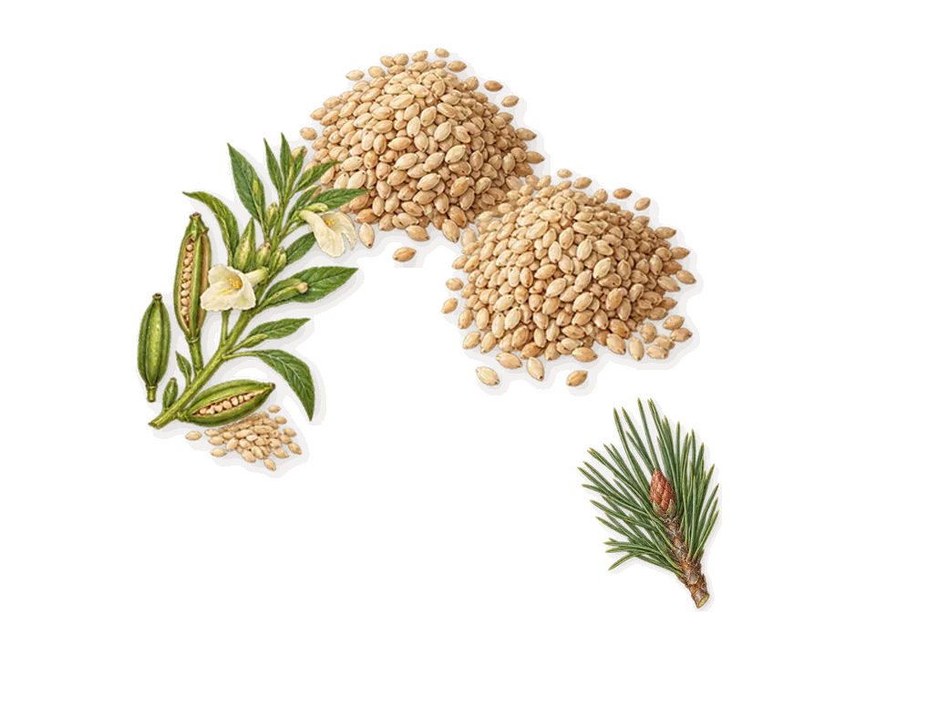Milk Expressive, when you spray it: Sesame, Pinene (pine needles)