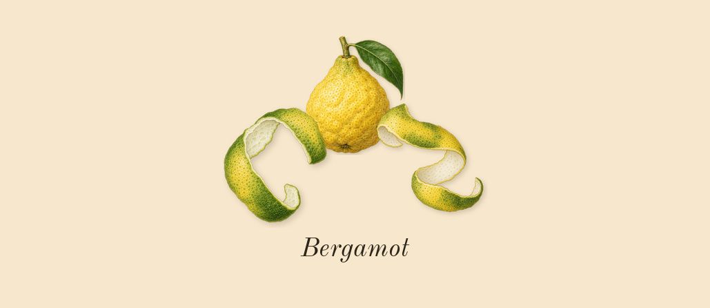 Chypre, top notes: Bergamot
