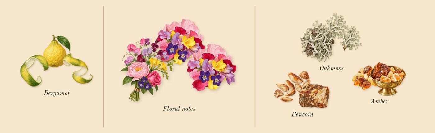 Chypre’s scent picture, a draft: bergamot, oakmoss, floral notes, amber, benzoin drawn so far; dashed outlines where nothing is drawn yet