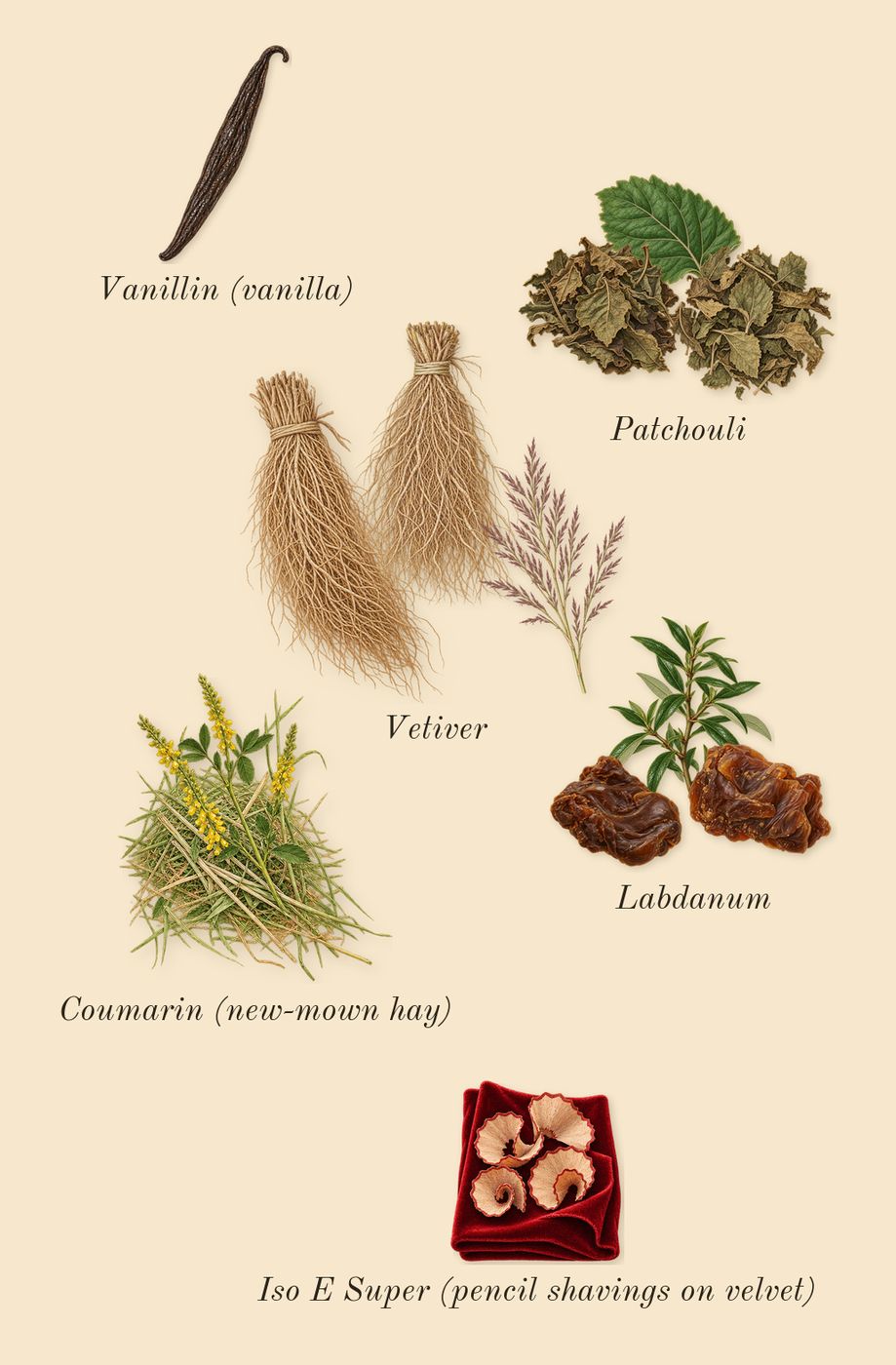 Absolu Aventus, dry-down: Labdanum, Vetiver, Patchouli, Iso E Super (pencil shavings on velvet), Vanillin (vanilla), Coumarin (new-mown hay)