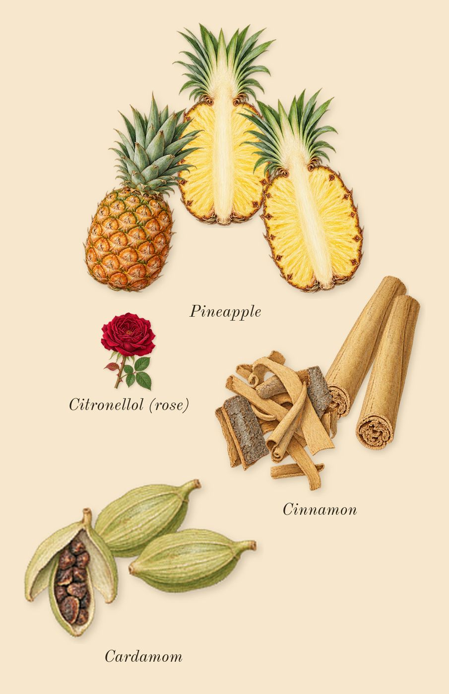 Absolu Aventus, heart: Cardamom, Cinnamon, Pineapple, Citronellol (rose)