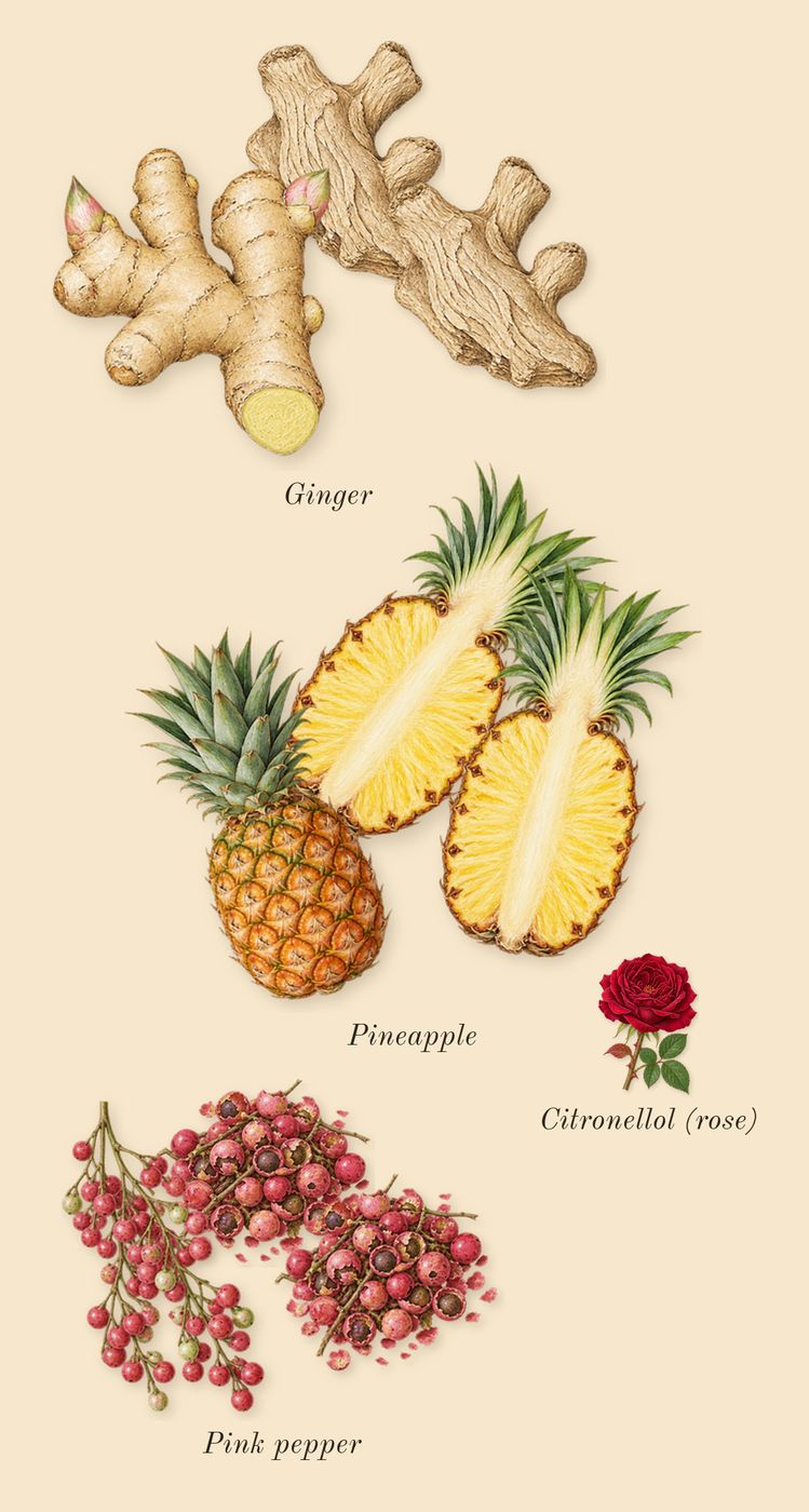 Aventus Cologne, heart: Ginger, Pineapple, Pink pepper, Citronellol (rose)