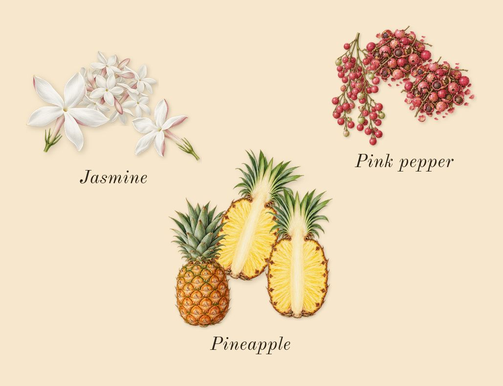 Aventus, heart: Pineapple, Pink pepper, Jasmine