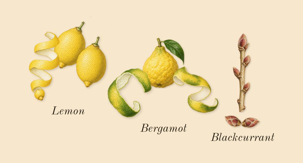 Aventus, top notes: Bergamot, Lemon, Blackcurrant