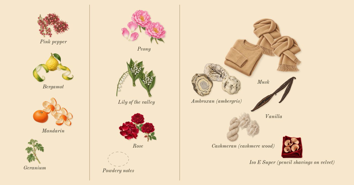 Eladaria’s scent picture, a draft: mandarin, bergamot, pink pepper, rose, peony, lily of the valley drawn so far; dashed outlines where nothing is drawn yet