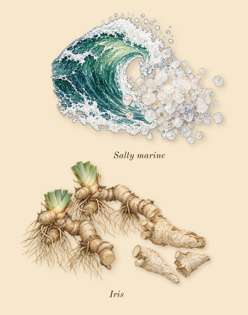 Millésime Impérial, heart: Iris, Salty marine